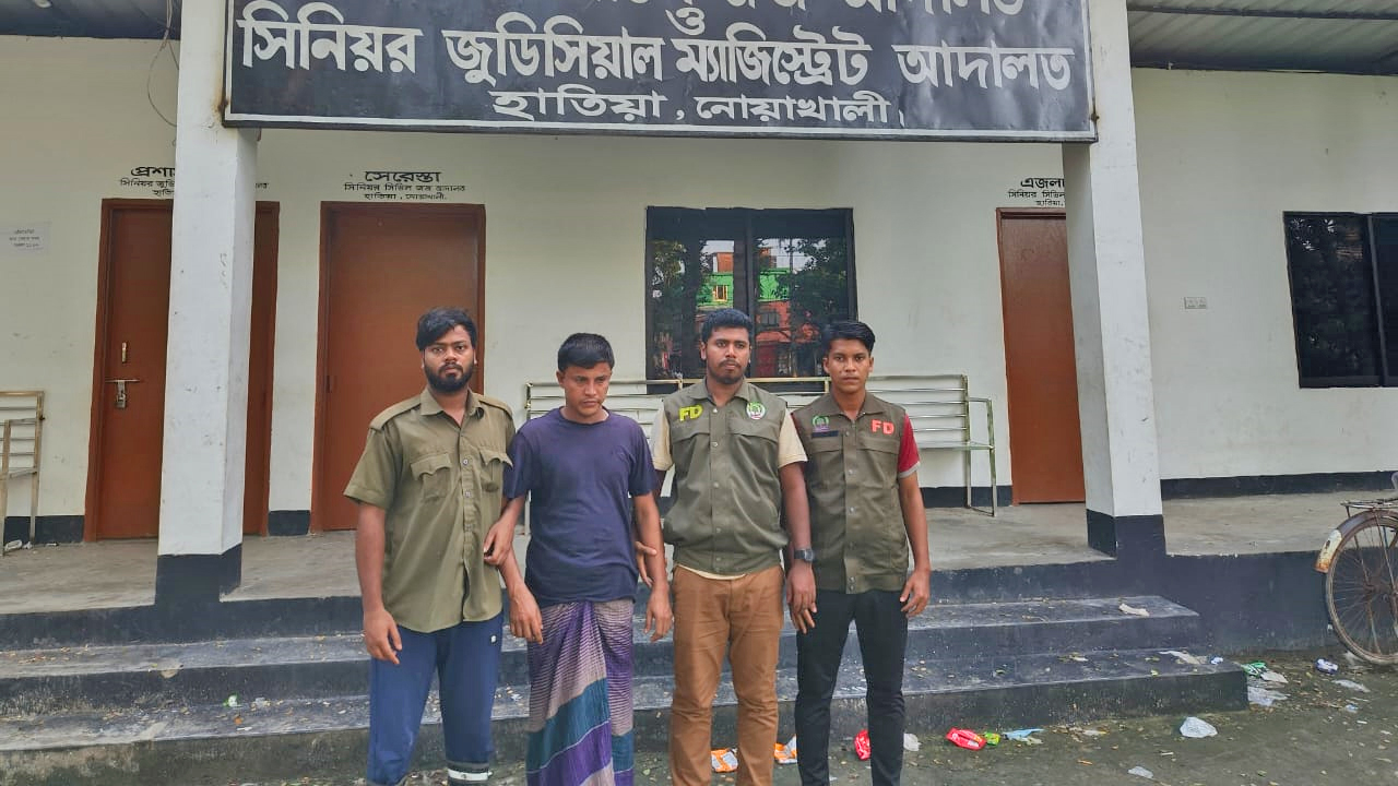 হাতিয়ায় সংরক্ষিত বনের গাছ কাটায় গ্রেফতার ১